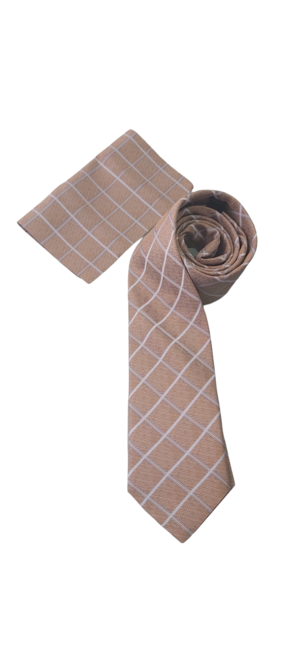 Abrossini Checkered Brown Gray Tie